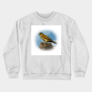 Kestrel Crewneck Sweatshirt